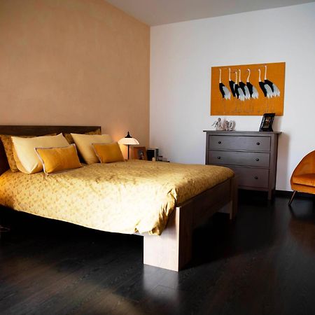 Sound Of Colors - Art Design Apartment Desenzano del Garda Exteriör bild